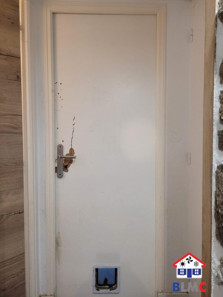 https://blmc.pro/realisation/changement-de-2-portes-dinterieur-alveolaires-69700-echalas/ avant