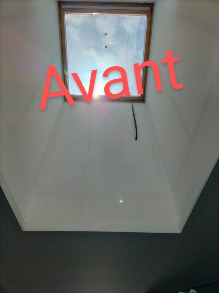 https://blmc.pro/realisation/changement-de-velux-chasse-sur-rhone-38670/ avant
