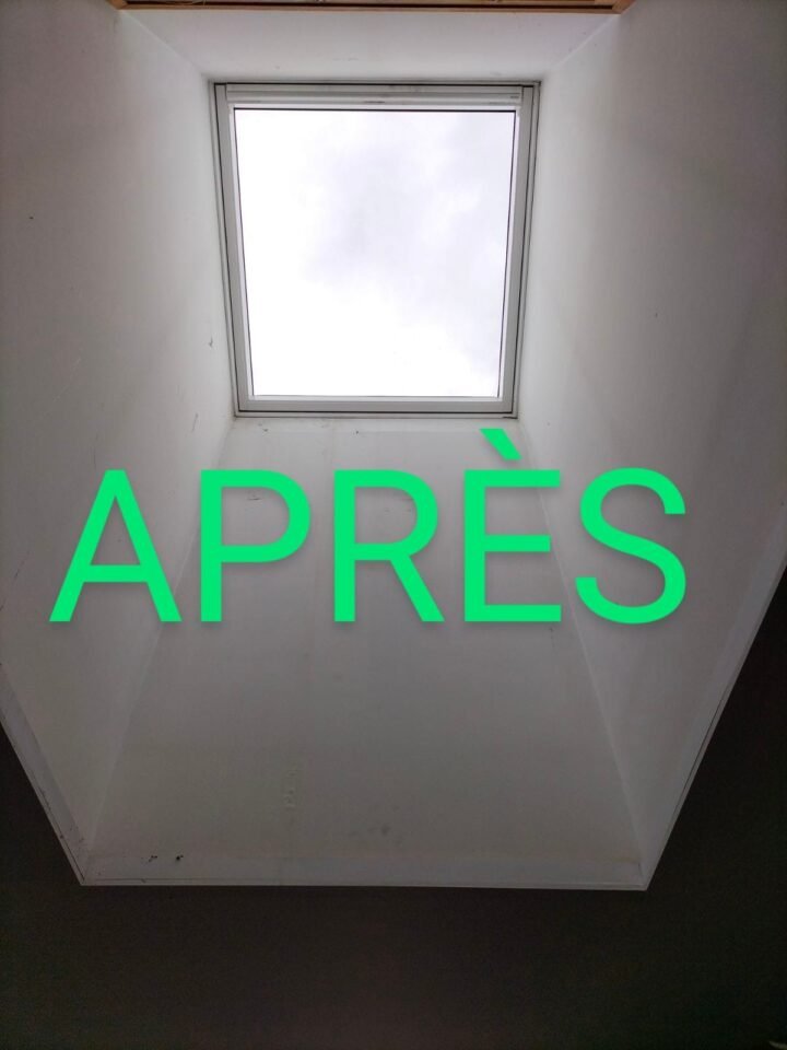 https://blmc.pro/realisation/changement-de-velux-chasse-sur-rhone-38670/ après