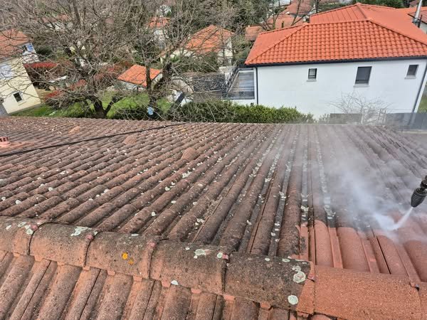 https://blmc.pro/realisation/demoussage-toiture-givors-69700/ avant